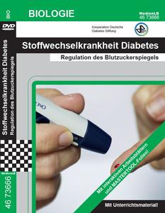 Stoffwechselkrankheit Diabetes