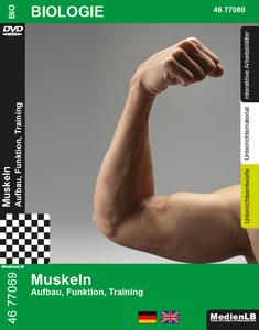 Muskeln