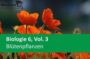 Biologie 6, Vol. 3 - Blütenpflanzen