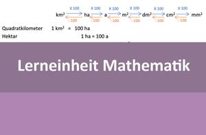 Lerneinheit Mathematik 5, Vol. 7