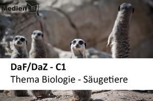 DaF/DaZ - C1 - Thema Biologie - Säugetiere