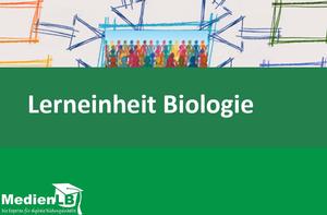 Lerneinheit Biologie/Gesellschaft 10-13