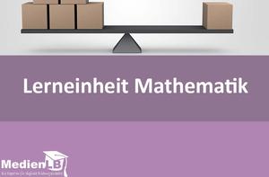 Lerneinheit Mathematik 6, Vol. 8