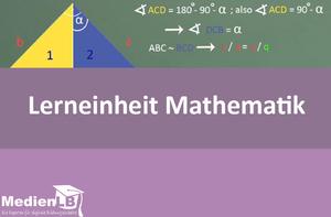 Lerneinheit Mathematik 8/9, Vol. 1 - Satz des Pythagoras