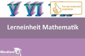 Lerneinheit Mathematik 5, Vol. 11
