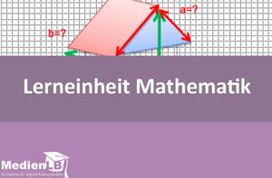 Lerneinheit Mathematik 8/9, Vol. 3 - Kathetensatz des Euklid