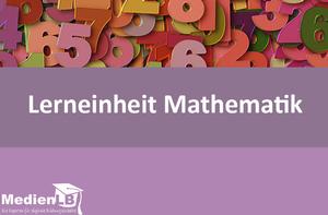 Lerneinheit Mathematik 5, Vol. 14